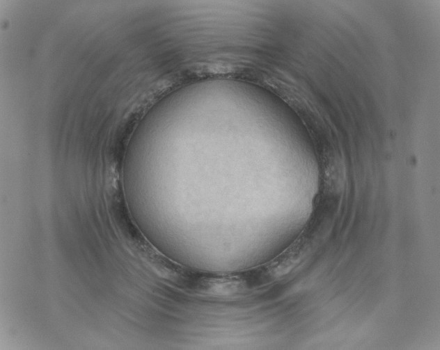 X0000074300555200609151944