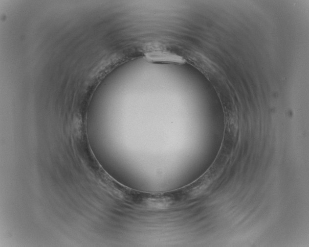 X0000074300556200609151944