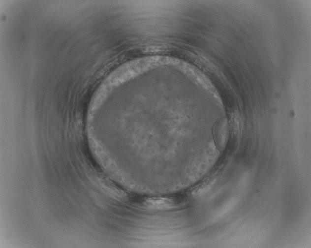 X0000074300557200609151944