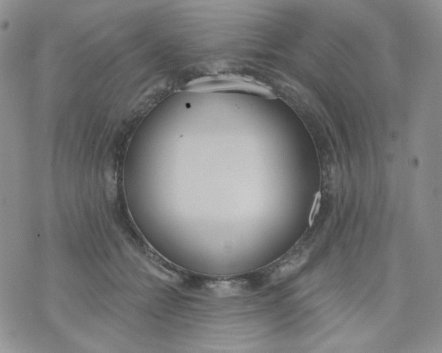 X0000074300558200609151944