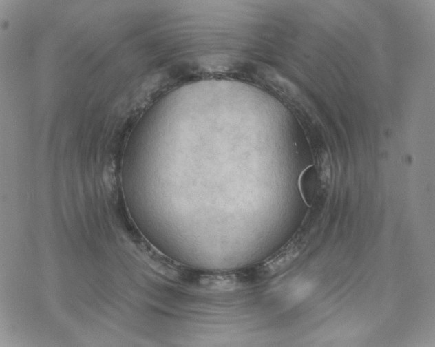 X0000074300559200609151944