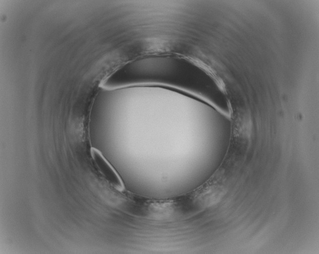 X0000074300560200609151944