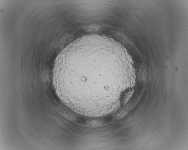 X0000074300561200609151944