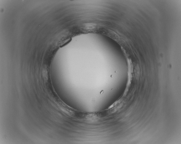 X0000074300562200609151945