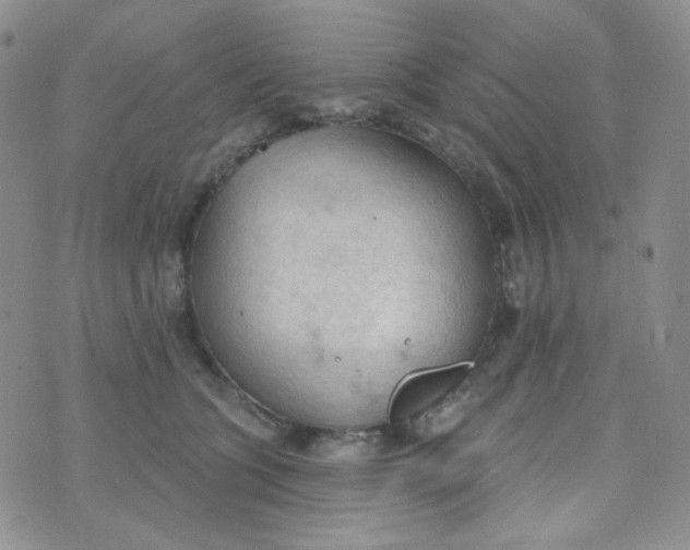 X0000074300563200609151945