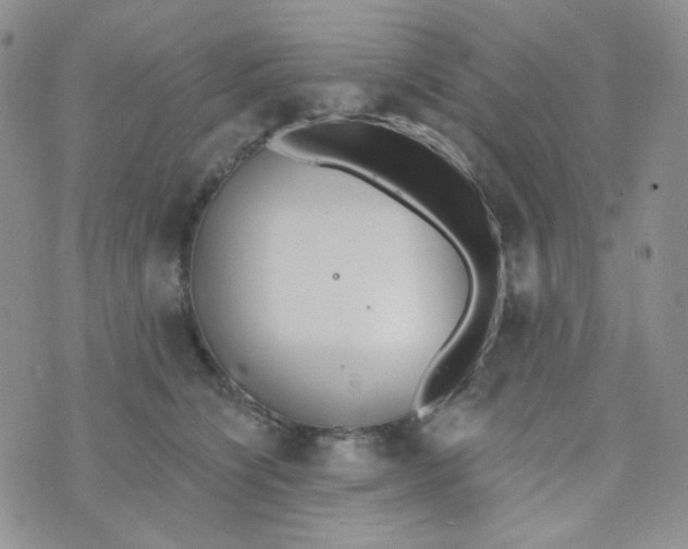 X0000074300564200609151945