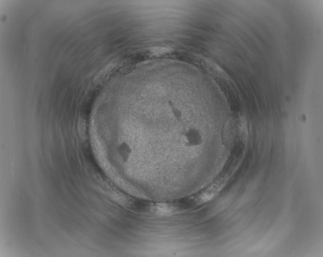 X0000074300565200609151945