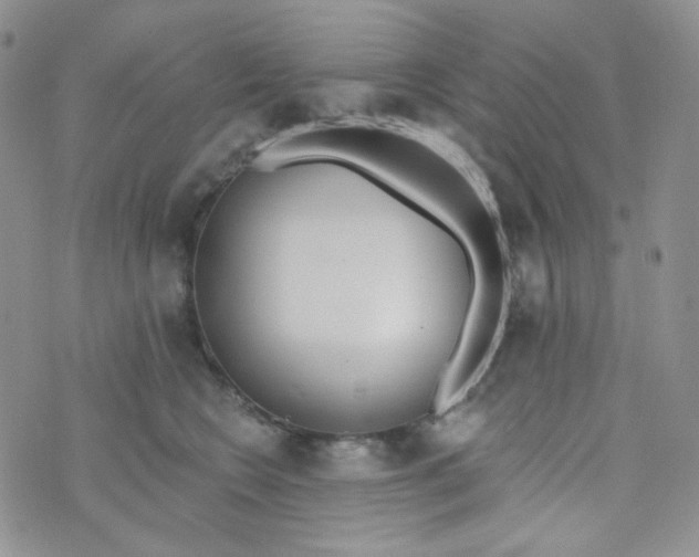 X0000074300566200609151945