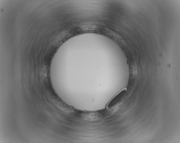 X0000074300567200609151945