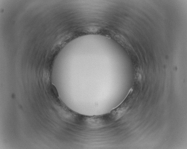 X0000074300568200609151945