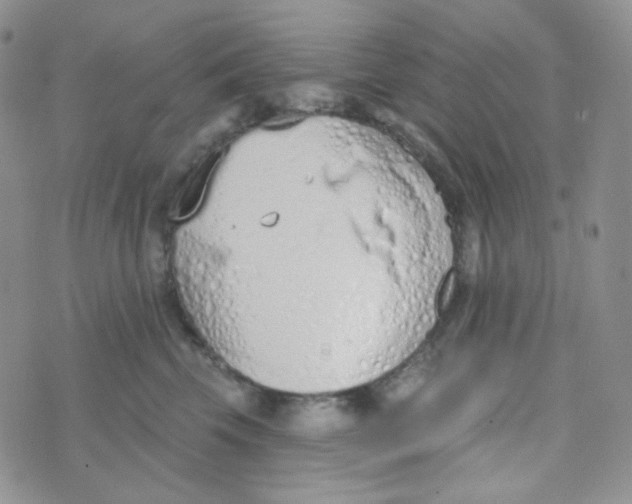 X0000074300569200609151945