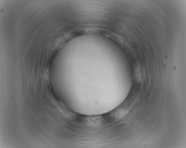 X0000074300571200609151945