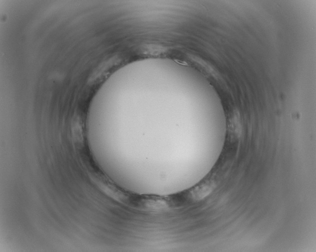 X0000074300572200609151945