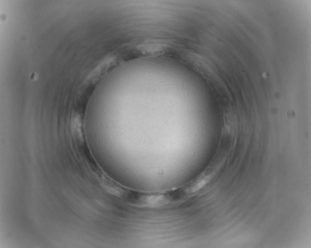 X0000074300575200609151945