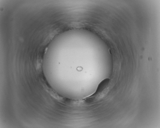 X0000074300576200609151945