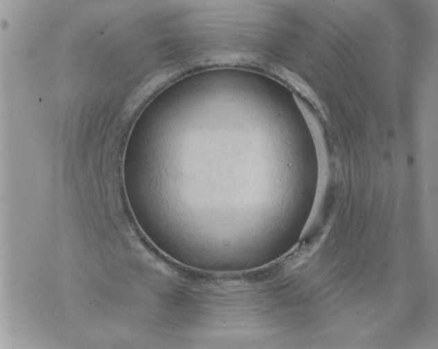 X0000074300577200609151944