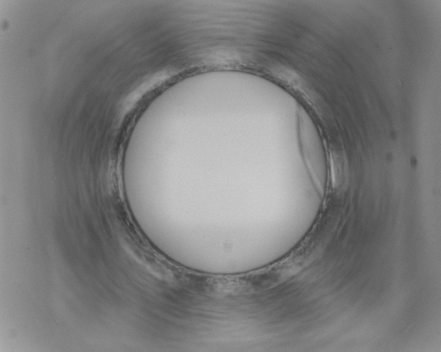 X0000074300579200609151944