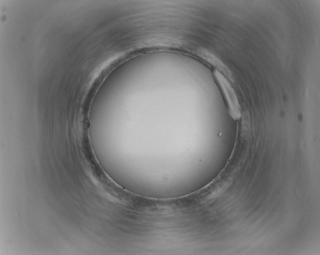 X0000074300580200609151944