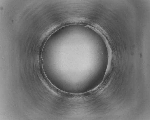 X0000074300581200609151944