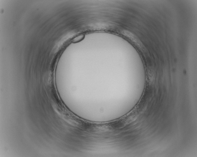 X0000074300583200609151944