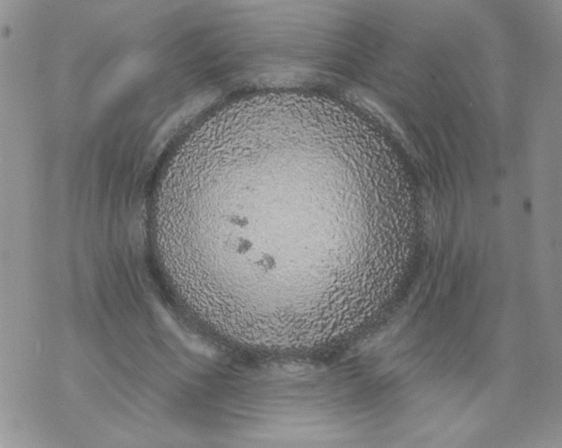 X0000074300586200609151944