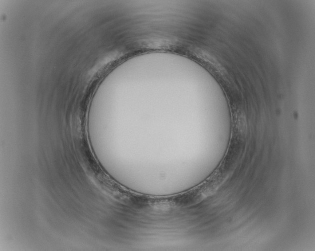 X0000074300587200609151944