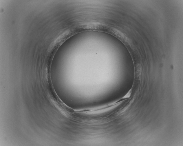 X0000074300589200609151944