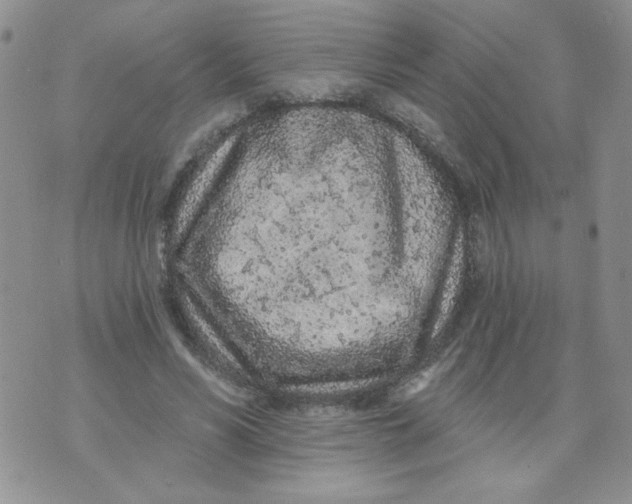 X0000074300590200609151944