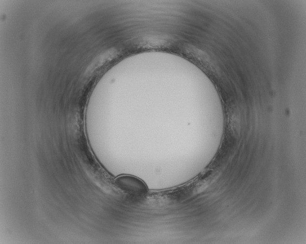 X0000074300591200609151944