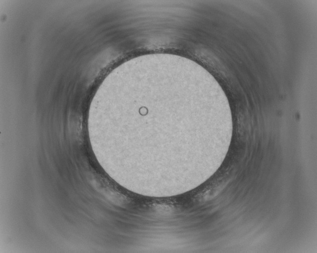 X0000074300592200609151944