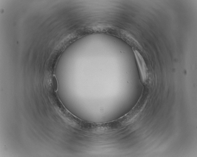 X0000074300593200609151944