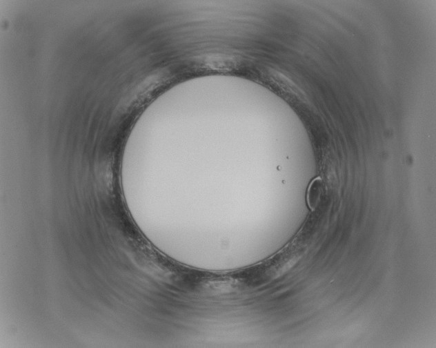 X0000074300595200609151944