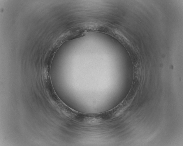 X0000074300597200609151944