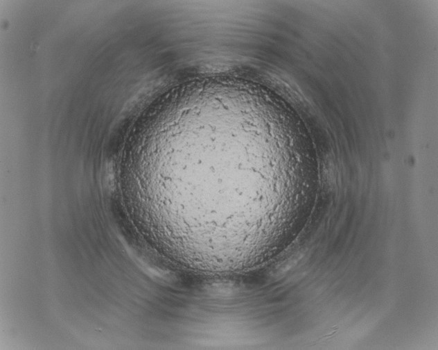 X0000074300598200609151944