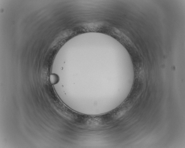 X0000074300599200609151944