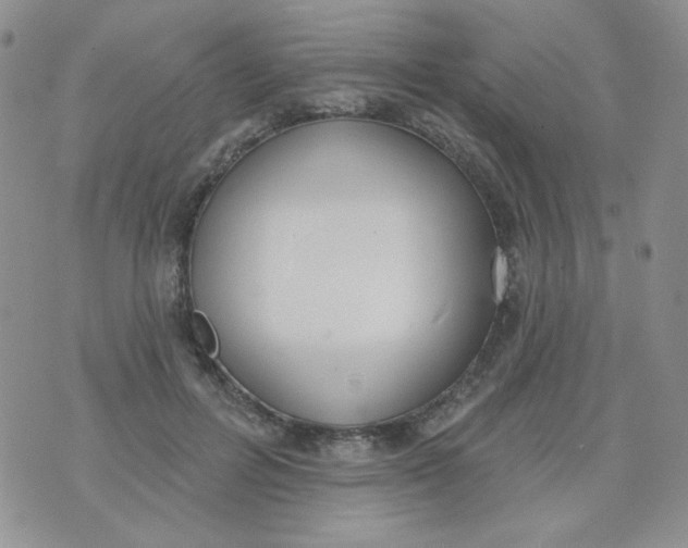 X0000074300600200609151944