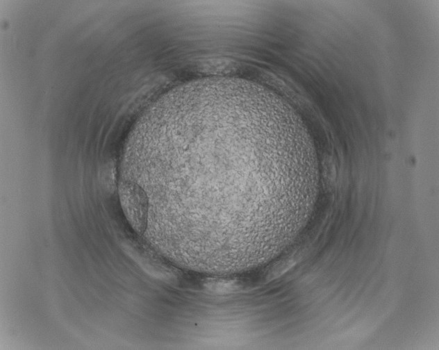 X0000074300602200609151944