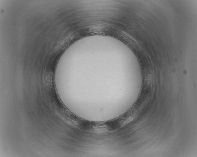 X0000074300603200609151944