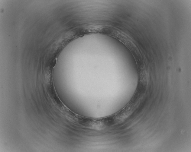 X0000074300604200609151943