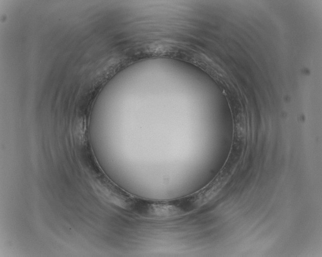 X0000074300605200609151943