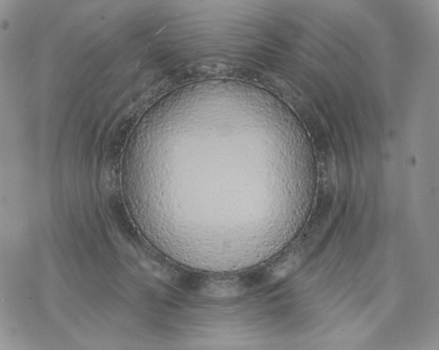 X0000074300606200609151943