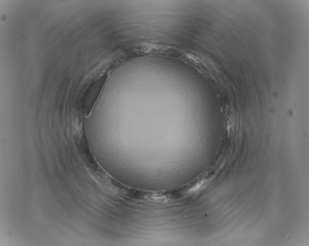 X0000074300607200609151943