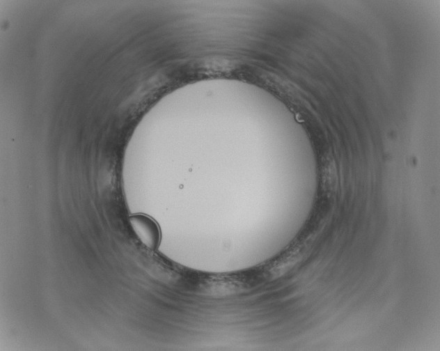 X0000074300608200609151943