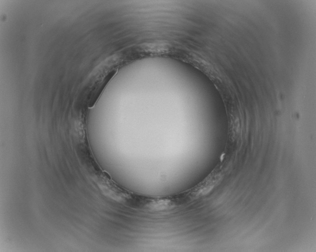 X0000074300609200609151943