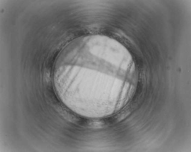 X0000074300610200609151943