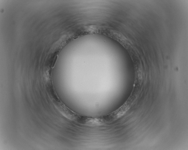 X0000074300611200609151943