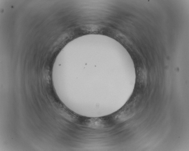 X0000074300612200609151943