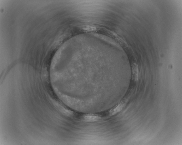 X0000074300614200609151943