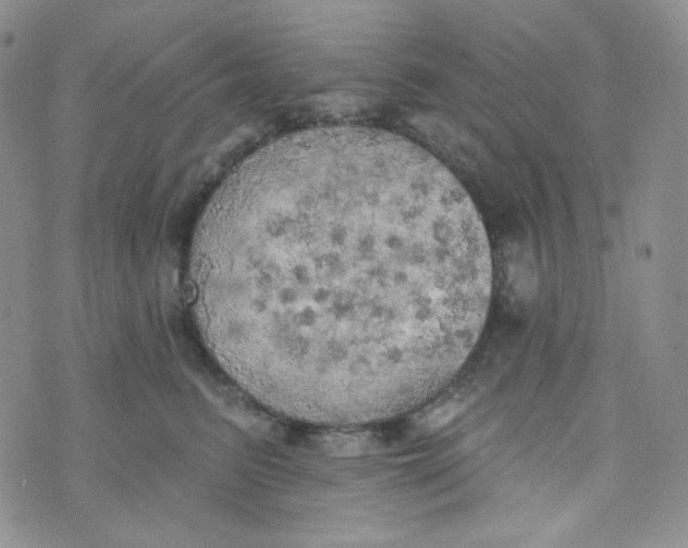 X0000074300615200609151943