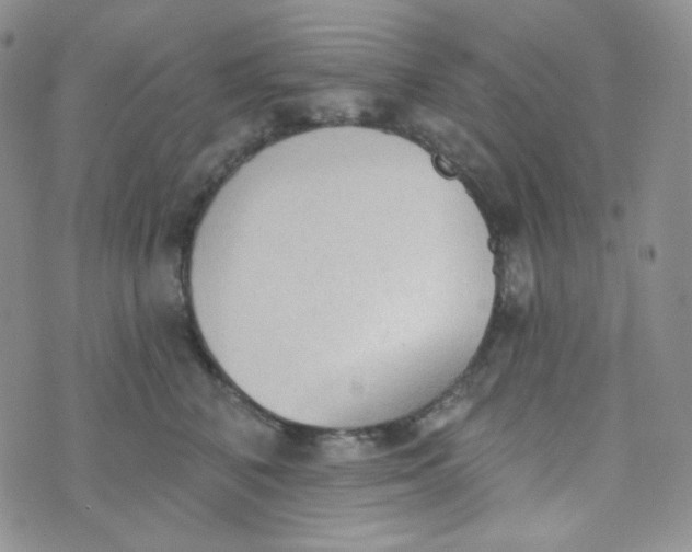 X0000074300616200609151943